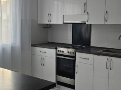 Inchiriere vila zona Priseaca -Targoviste