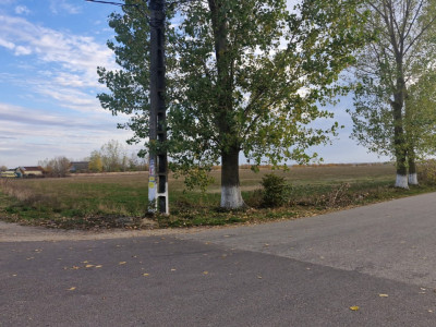 Vanzare teren intravilan 47.150 mp - Comuna Crangurile, judet Dambovita