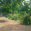 Vânzare casa bătrâneasca și teren, comuna Sirna județ Prahova imaginea mica 5 Vânzare casa bătrâneasca și teren, comuna Sirna județ Prahova thumb 5