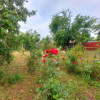 Vânzare casa bătrâneasca și teren, comuna Sirna județ Prahova imaginea mica 9 Vânzare casa bătrâneasca și teren, comuna Sirna județ Prahova thumb 9